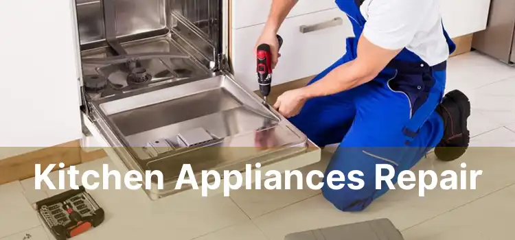 Kitchen Appliances Repair