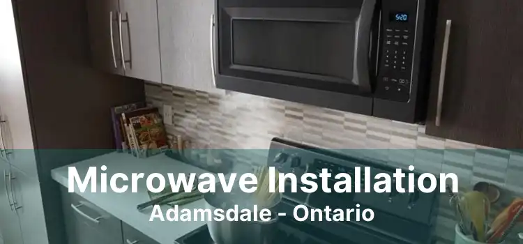 Microwave Installation Adamsdale - Ontario