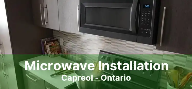 Microwave Installation Capreol - Ontario