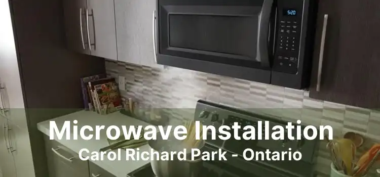 Microwave Installation Carol Richard Park - Ontario