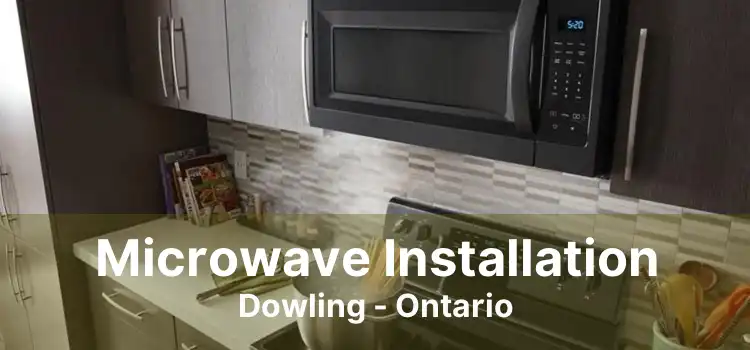 Microwave Installation Dowling - Ontario