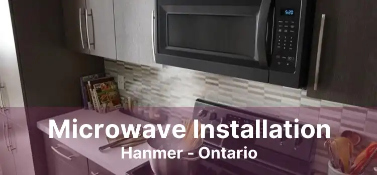 Microwave Installation Hanmer - Ontario