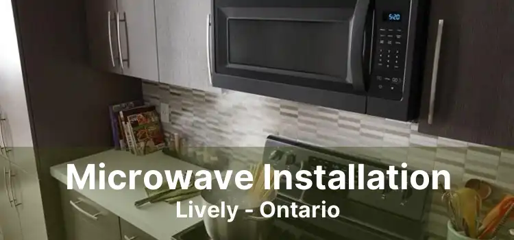 Microwave Installation Lively - Ontario