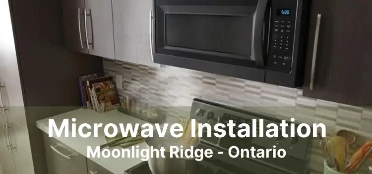 Microwave Installation Moonlight Ridge - Ontario