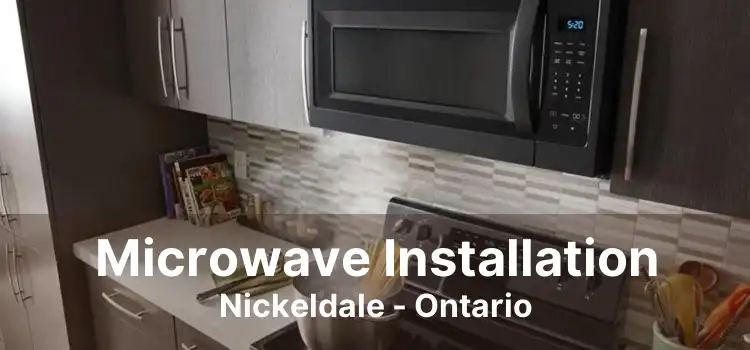 Microwave Installation Nickeldale - Ontario