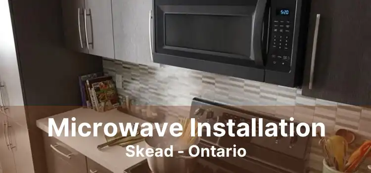 Microwave Installation Skead - Ontario