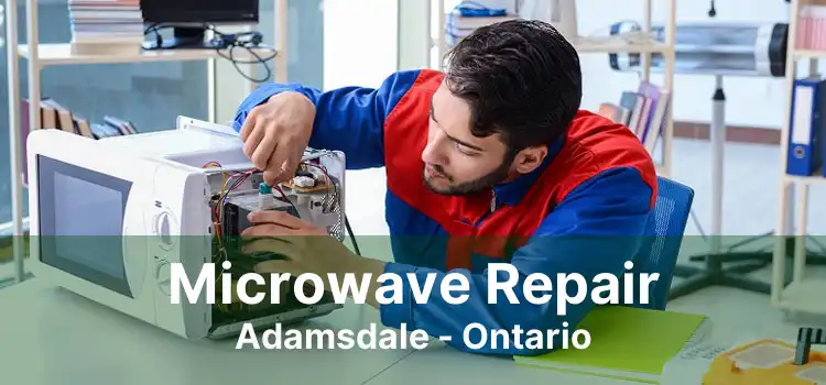Microwave Repair Adamsdale - Ontario