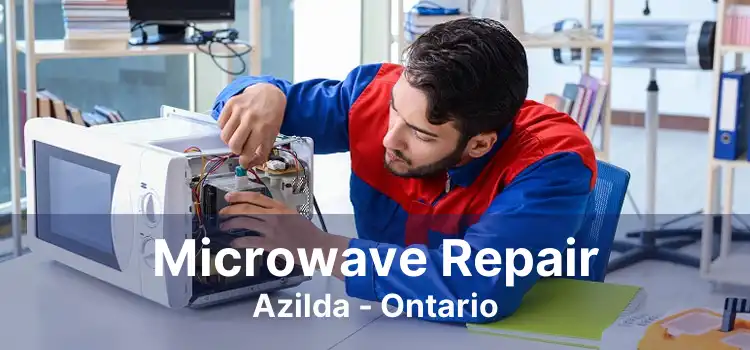 Microwave Repair Azilda - Ontario