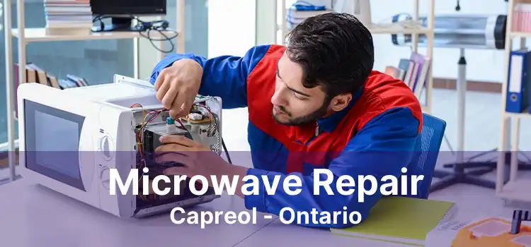 Microwave Repair Capreol - Ontario