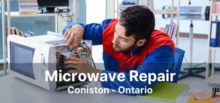 Microwave Repair Coniston - Ontario