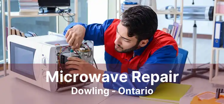Microwave Repair Dowling - Ontario