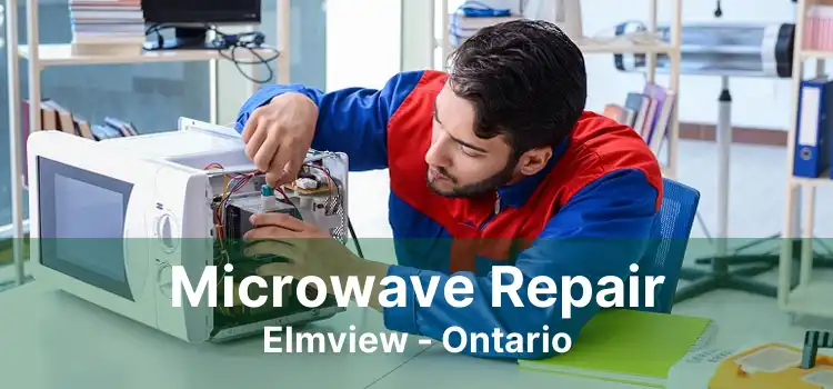 Microwave Repair Elmview - Ontario