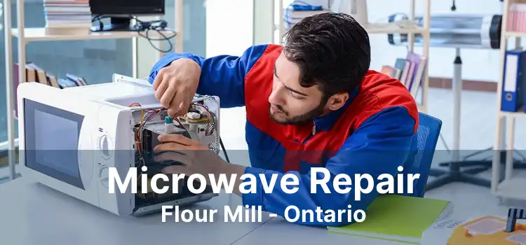 Microwave Repair Flour Mill - Ontario
