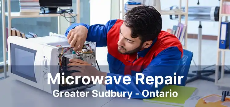 Microwave Repair Greater Sudbury - Ontario