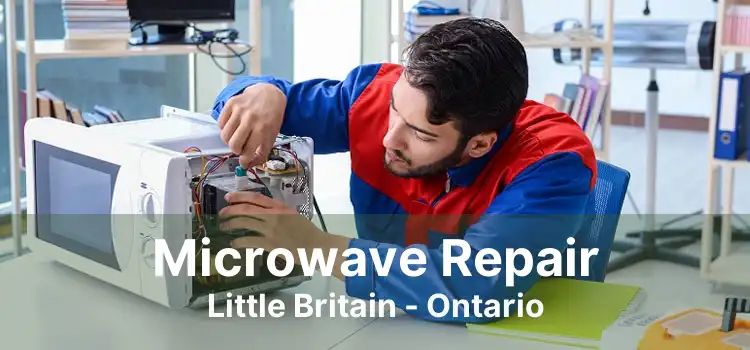 Microwave Repair Little Britain - Ontario