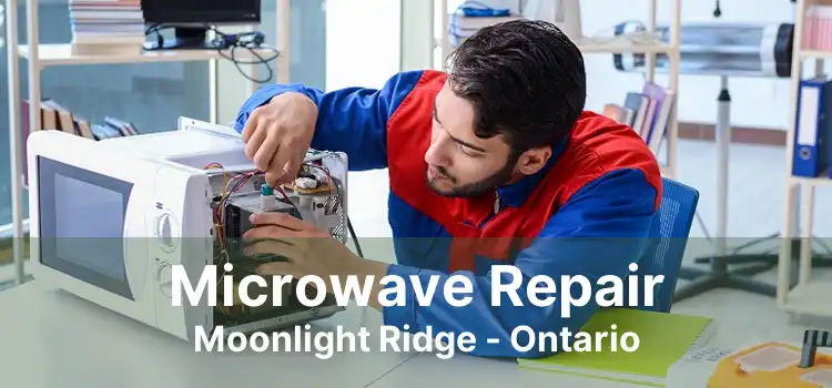 Microwave Repair Moonlight Ridge - Ontario