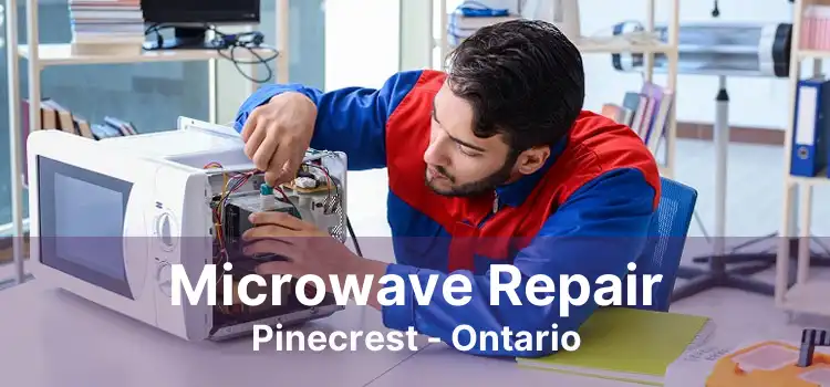 Microwave Repair Pinecrest - Ontario