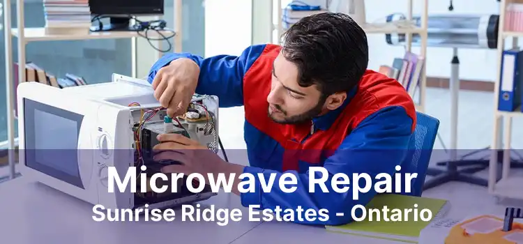 Microwave Repair Sunrise Ridge Estates - Ontario