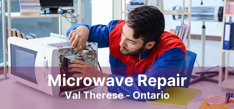 Microwave Repair Val Therese - Ontario