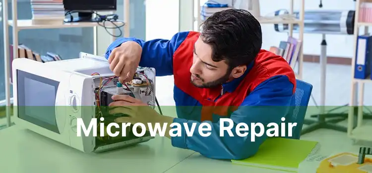 Microwave Repair 