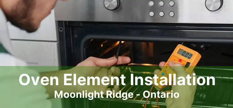 Oven Element Installation Moonlight Ridge - Ontario