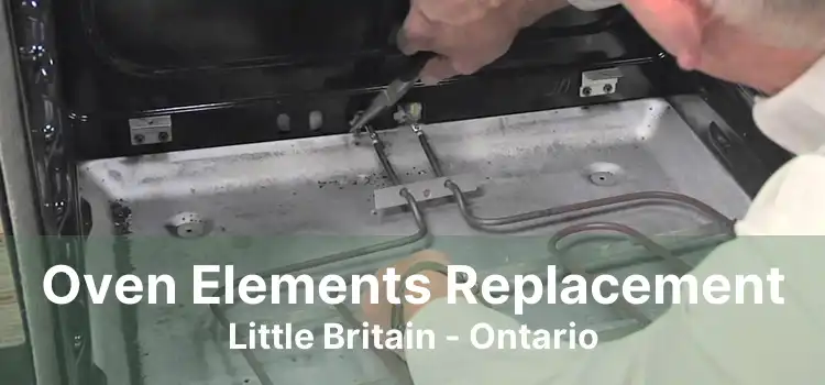 Oven Elements Replacement Little Britain - Ontario