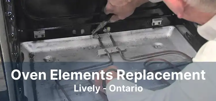 Oven Elements Replacement Lively - Ontario