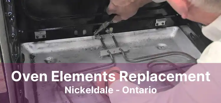 Oven Elements Replacement Nickeldale - Ontario