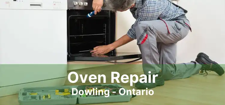 Oven Repair Dowling - Ontario