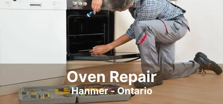 Oven Repair Hanmer - Ontario