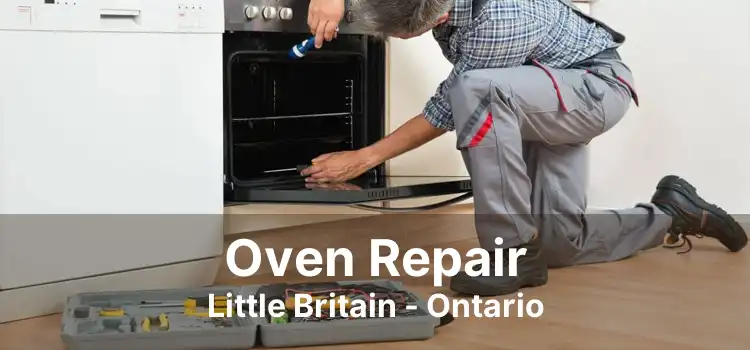 Oven Repair Little Britain - Ontario