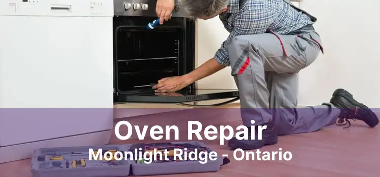 Oven Repair Moonlight Ridge - Ontario
