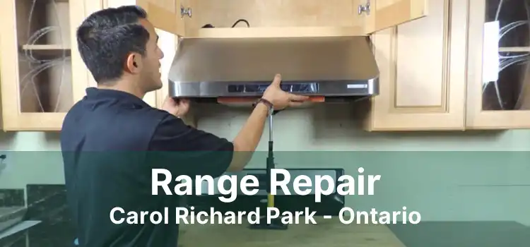 Range Repair Carol Richard Park - Ontario