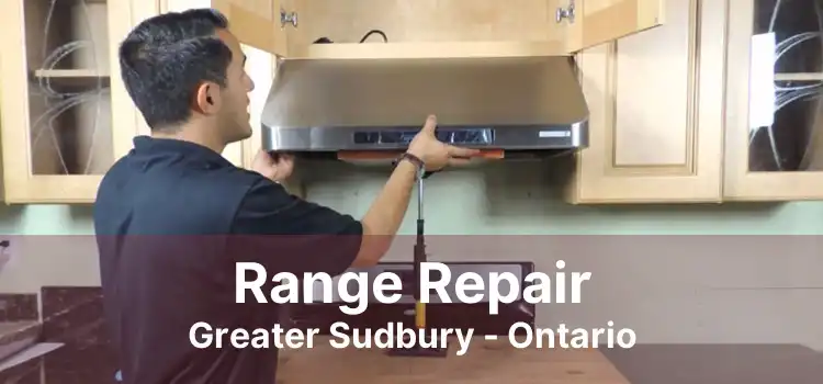 Range Repair Greater Sudbury - Ontario