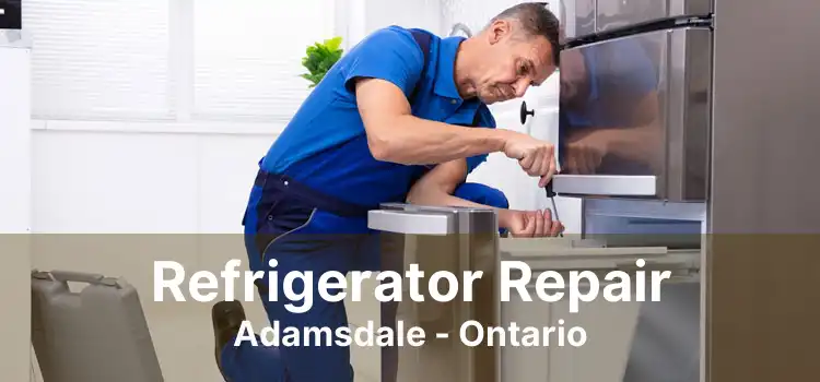 Refrigerator Repair Adamsdale - Ontario