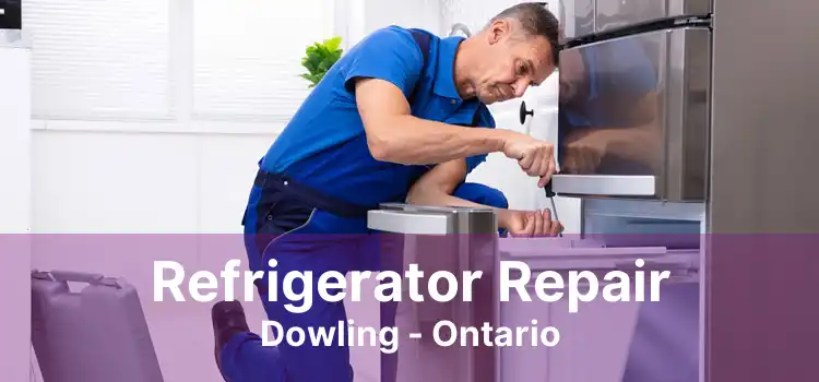 Refrigerator Repair Dowling - Ontario