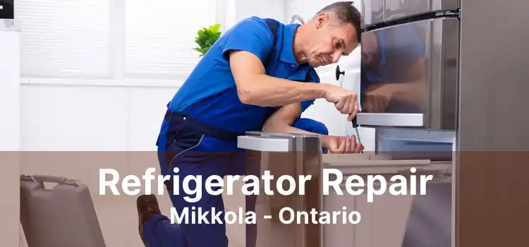 Refrigerator Repair Mikkola - Ontario
