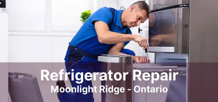 Refrigerator Repair Moonlight Ridge - Ontario