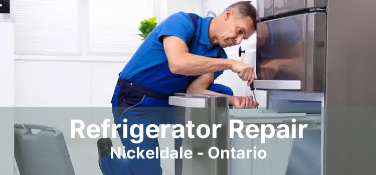 Refrigerator Repair Nickeldale - Ontario