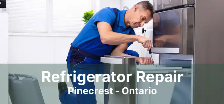 Refrigerator Repair Pinecrest - Ontario