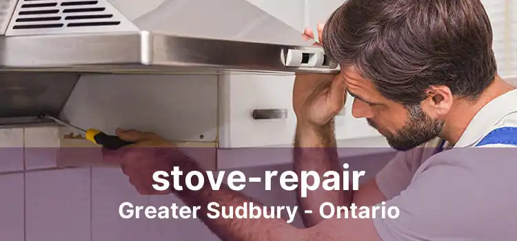 stove-repair Greater Sudbury - Ontario