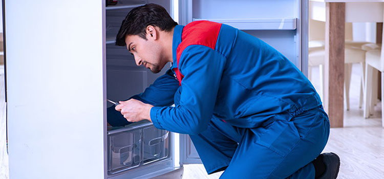 Freezer Repair Services in Sudbury